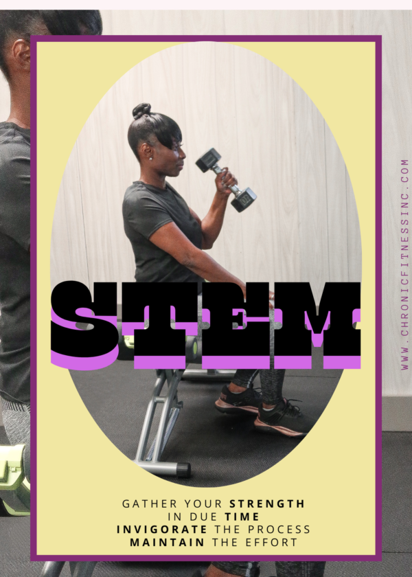 Stem Program- Low / High Cardio Training